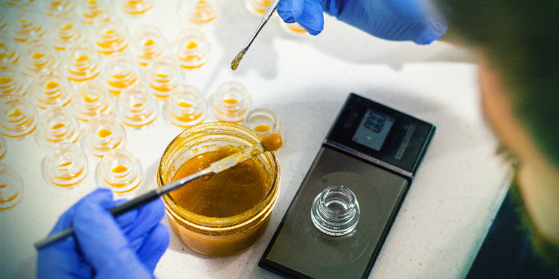 Vad är live resin? What Is Live Resin?