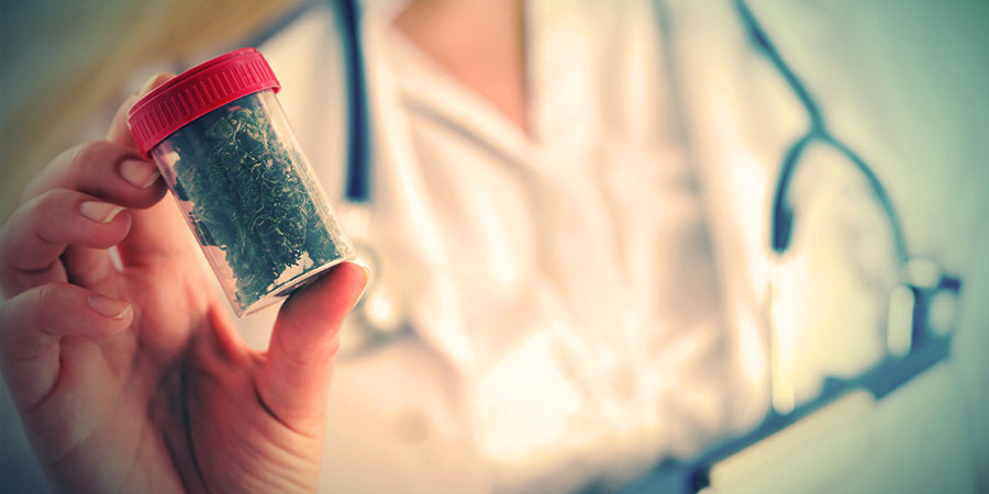 Betydelsen av alternativa källor till cannabinoider The Importance Of Alternative Sources Of Cannabinoids