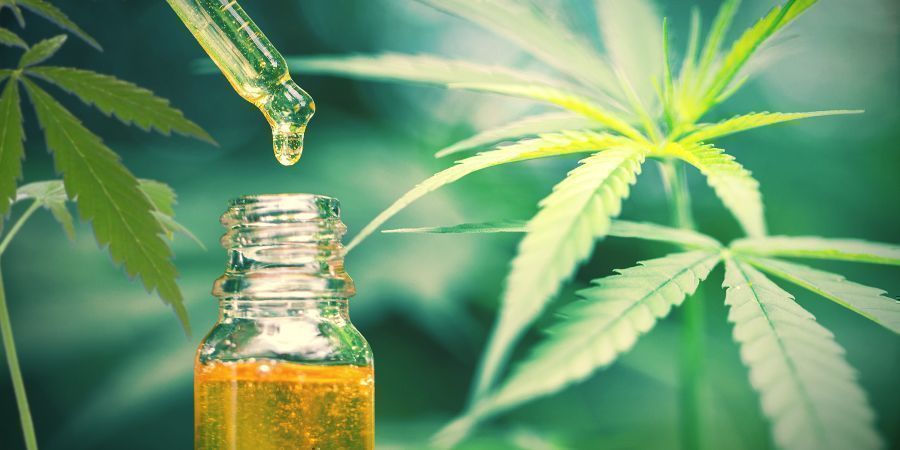 CBD är den enda terapeutiska substansen som finns i hampa/cannabis CBD Is The Only Therapeutic Compound Found In Hemp/cannabis