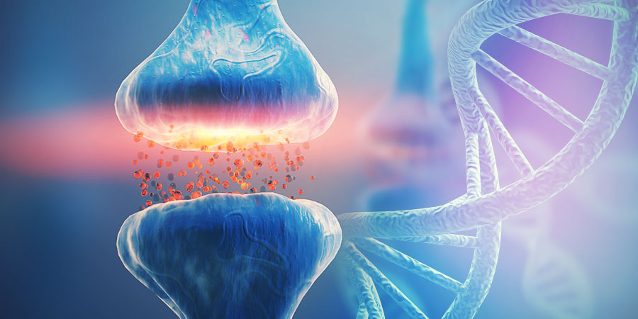 Dna och det endocannabinoida systemet DNA AND THE ENDOCANNABINOID SYSTEM