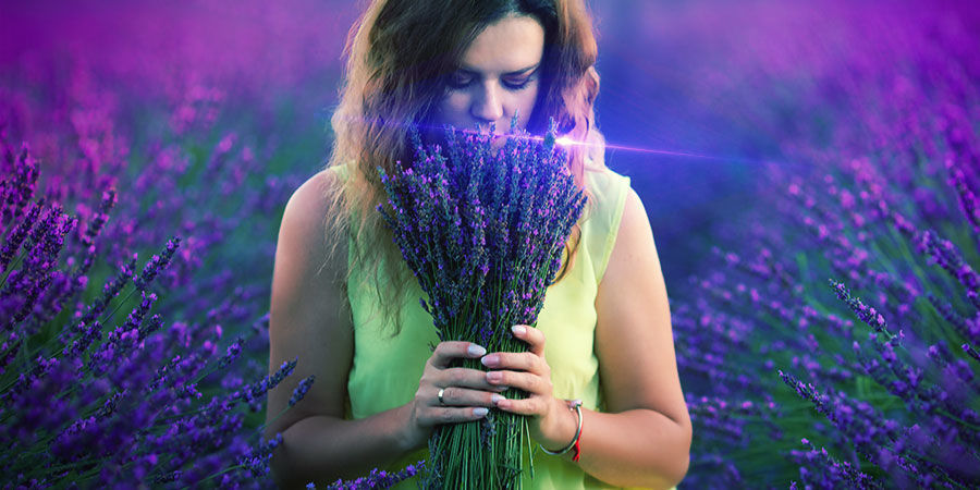 Kan det muntra upp dig? Cannabis & Linalool: Can It Cheer You Up?
