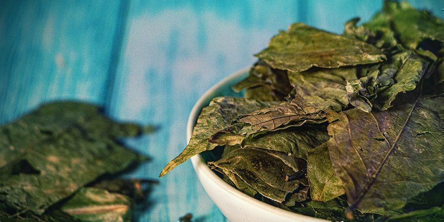 Vad &auml;r ayahuasca?