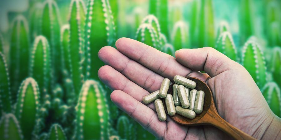 Mescalin finns som microdots eller mikrodoser Mescaline Is Available In Microdots Or Microdoses