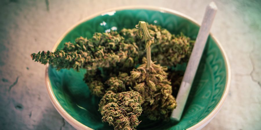 Kan du röka gammalt gräs? Can You Smoke Old Weed?