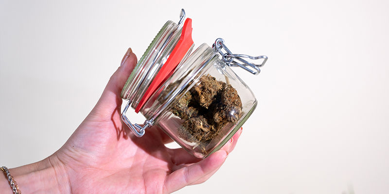 Så vädrar du dina cannabisblommor på rätt sätt Så vädrar du dina cannabisblommor på rätt sätt