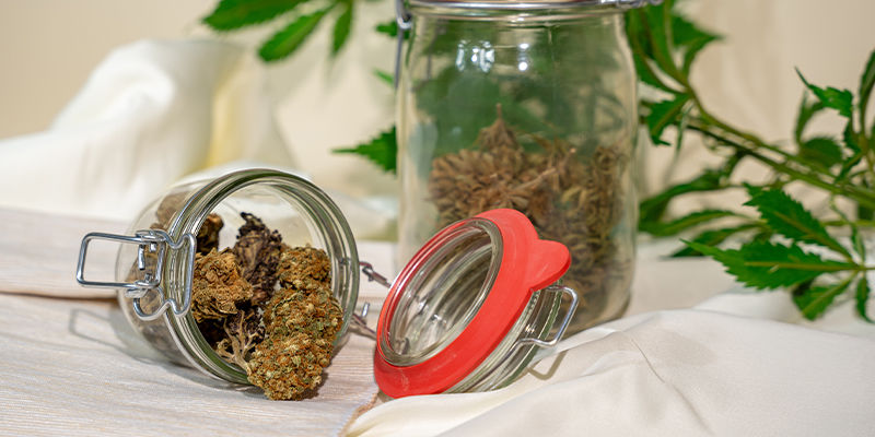 Vad är burping, och varför ska du burpa dina blommor? What Is Burping, And Why Should You Burp Your Buds?