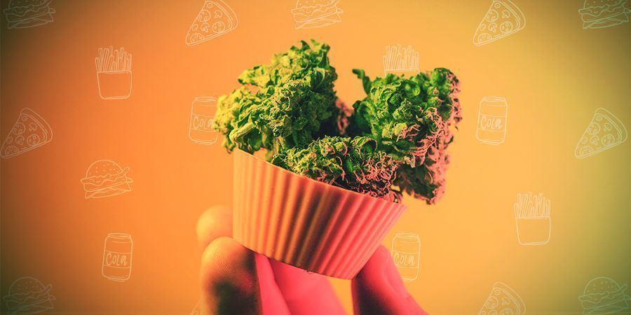 Hur du doserar ätbara How To Dose Cannabis Edibles
