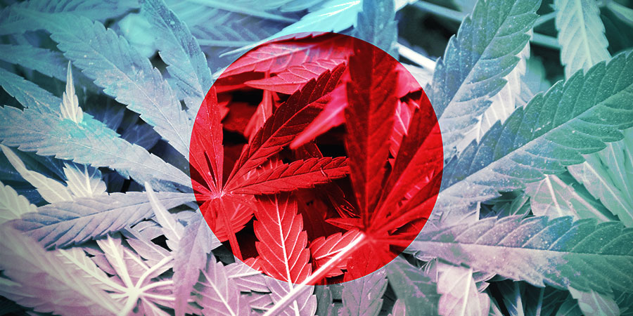 Historien om Hokkaido-hampa THE HISTORY OF HOKKAIDO HEMP