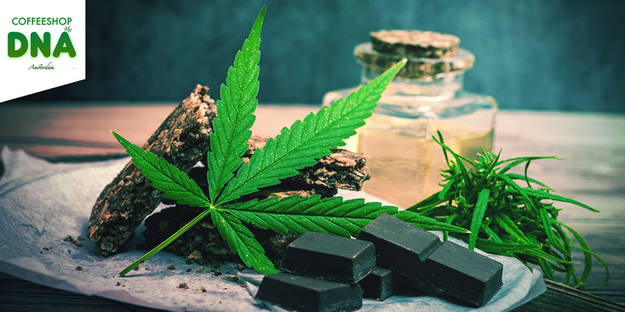 Coffeeshop DNA Amsterdam Coffeeshop DNA Amsterdam - Cannabis edibles