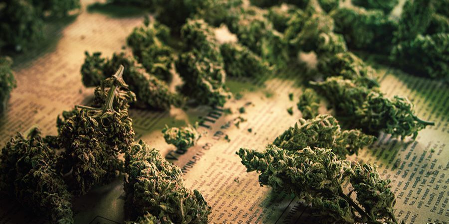 Använda cannabisblommor för att göra e-juice USING CANNABIS BUDS TO MAKE E-LIQUID