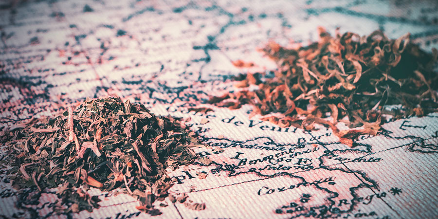 Dagga-växternas historia History Of The Daggas