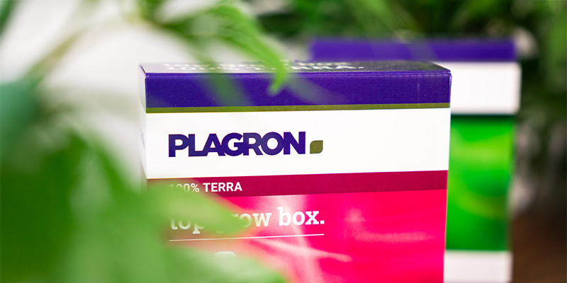 Plagron: Vilka är de och vad gör de? Plagron: Vilka är de och vad gör de?