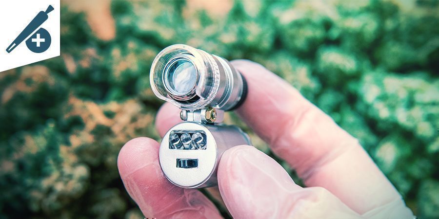 Fördelar med mikroskop för rökare BENEFITS OF MICROSCOPES FOR CANNABIS SMOKERS
