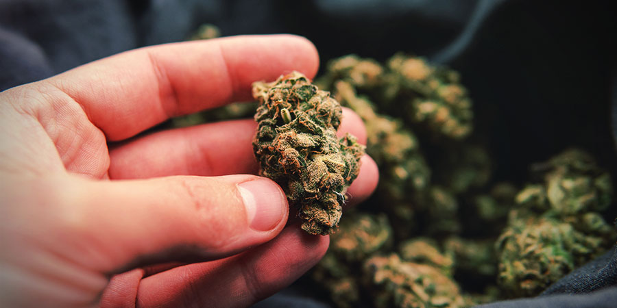 Varför spelar täta blommor någon roll? Why Does Bud Density Matter?