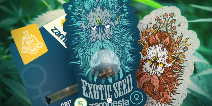 Zamnesia och Exotic Seed: ett kraftfullt samarbete ZAMNESIA AND EXOTIC SEED: A POTENT COLLABORATION