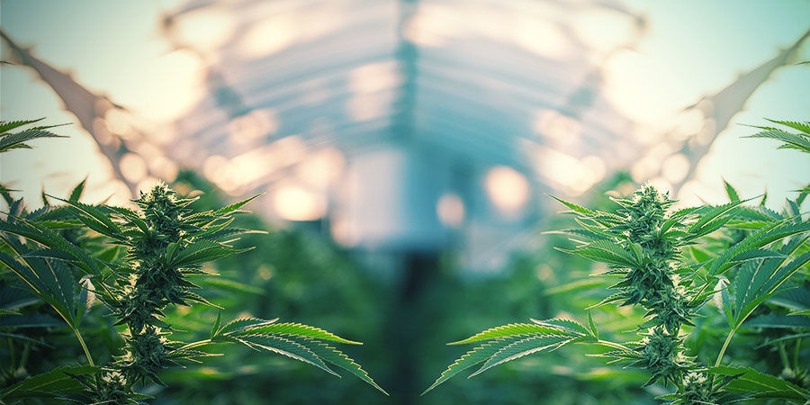 Kan bevattningssystem användas både inomhus och utomhus? CAN IRRIGATION SYSTEMS BE USED BOTH INDOORS AND OUTDOORS?