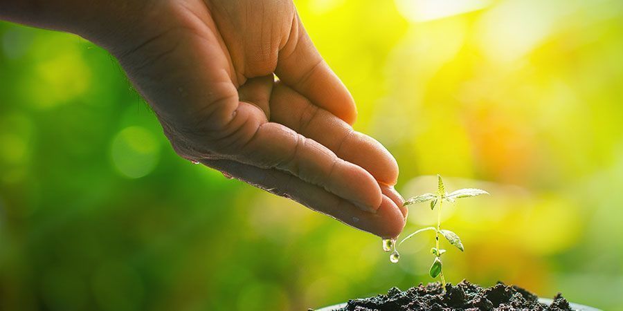 Spara vatten Save Water