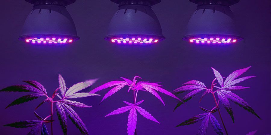 Hitta den mest effektiva belysningslösningen Hitta den mest effektiva belysningslösningen