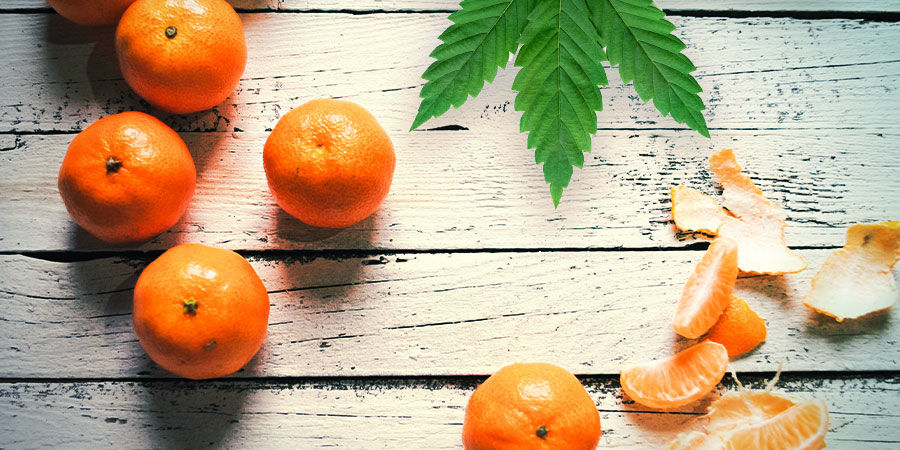 Tangerine Dream: Smak och effekter TANGERINE DREAM: FLAVOUR AND EFFECTS