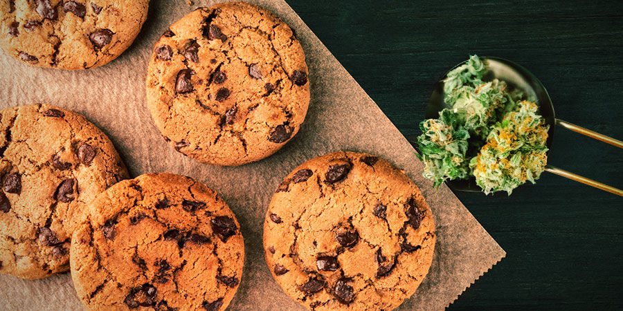 Cookies Kush: smak och effekter COOKIES KUSH: FLAVOUR AND EFFECTS