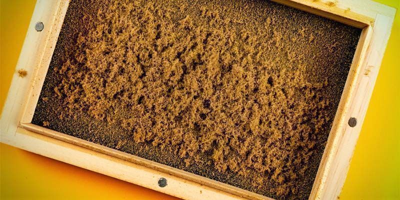 Dry Sift Hash: What Is It? Dry Sift Hash: What Is It?