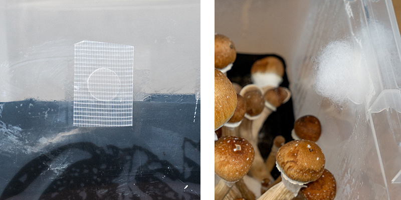 4. Blockera luftflödet med Poly-Fil 4. Blocking airflow with Poly-Fil