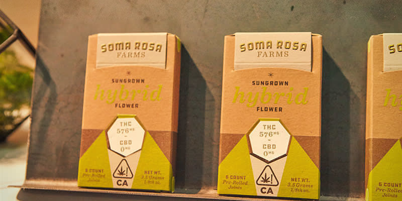 Soma Psychedelic Yoga: Soma