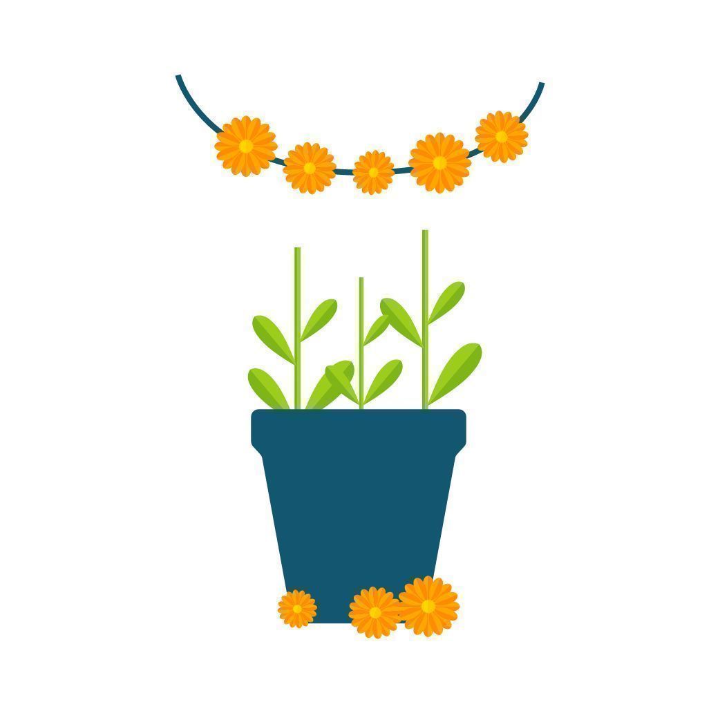 Samla blommor Samla blommor