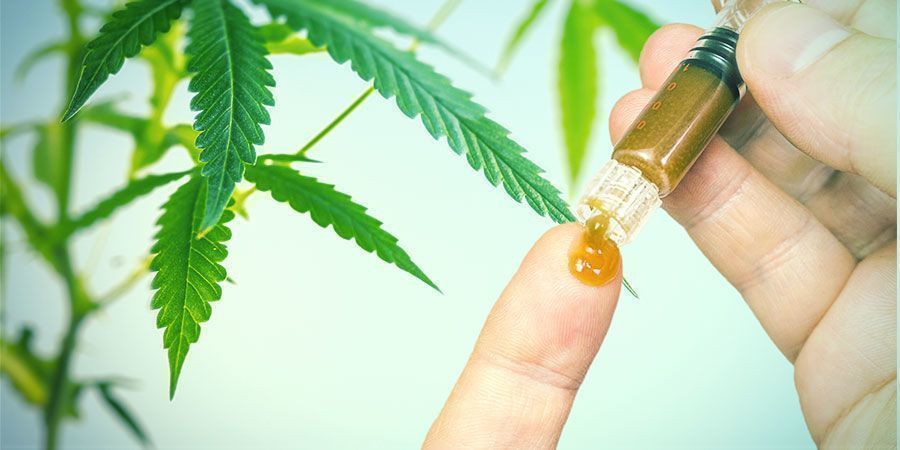 Fördelarna med cannabisrötter Fördelarna med cannabisrötter