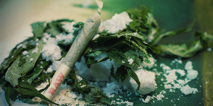 Magnesium, svavel och cannabisplantor Magnesium, Sulphur and Cannabis Plants