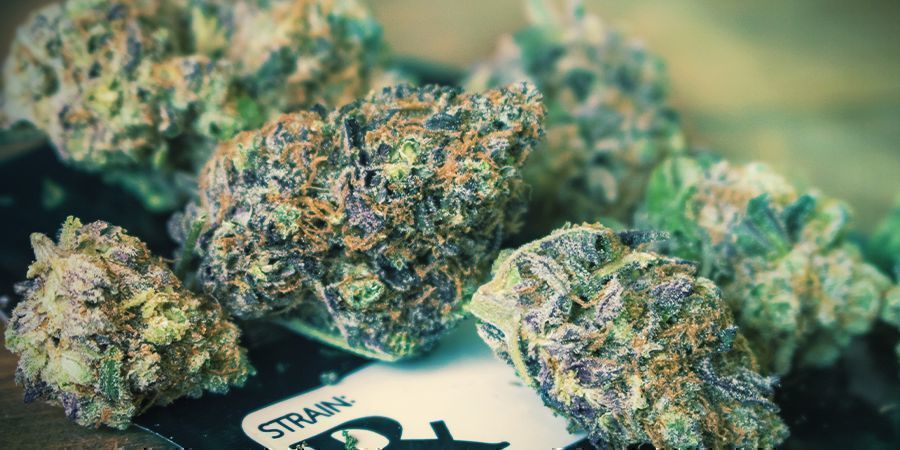 Autoflower ger lägre avkastning Autoflower cannabisfrön ger lägre avkastning