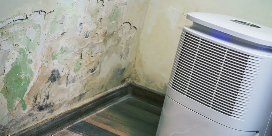 Fördelar med avfuktare Benefits of Dehumidifiers