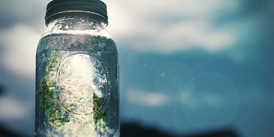 Steg-för-steg-instruktioner Så gör du cannabissalt: Steg-för-steg-instruktioner