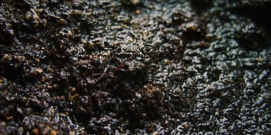 Våt och slemmig kompost WET AND SLIMY COMPOST