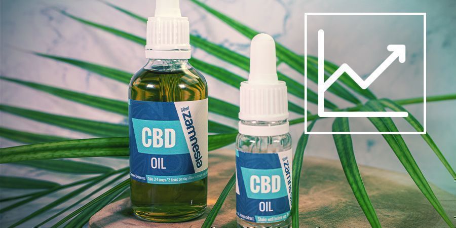 Hur kan du förstärka effekten av CBD? Hur kan du förstärka effekten av CBD?