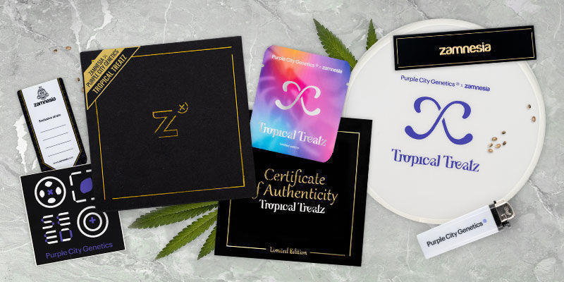 Tropical Treatz (Purple City Genetics x Zamnesia) Tropical Treatz (Purple City Genetics x Zamnesia)