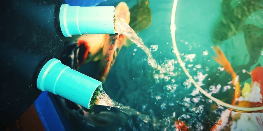 Lägg i fisken Lägg i fisken