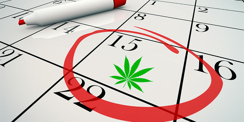 Att vara otålig med CBD:s effekter Att vara otålig med CBD:s effekter