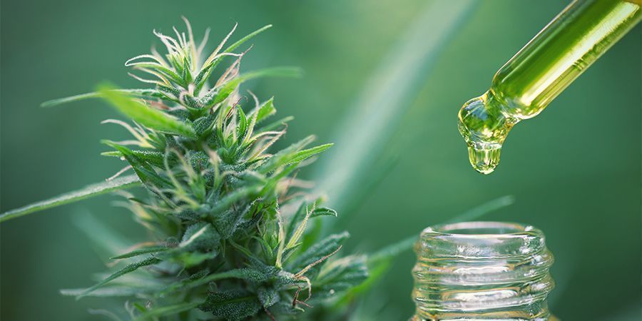 Beräkna rätt dos Cannabis Concentrates Edibles: Calculate the Correct Dose