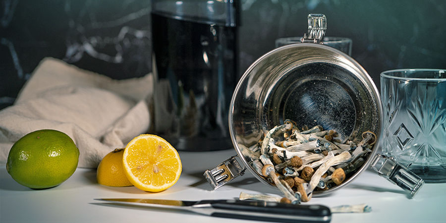 Hur du gör lemon tek med magiska svampar eller magiska tryfflar Hur du gör lemon tek med magiska svampar eller magiska tryfflar