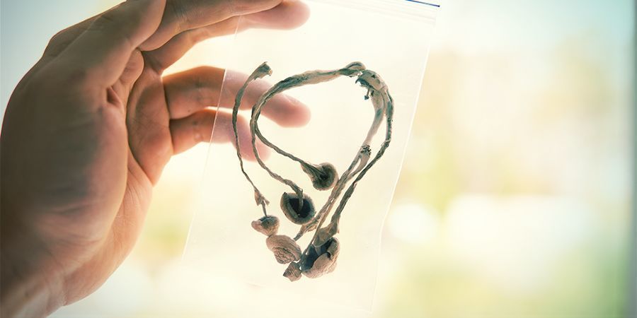Abstinens från magiska svampar Abstinens från magiska svampar