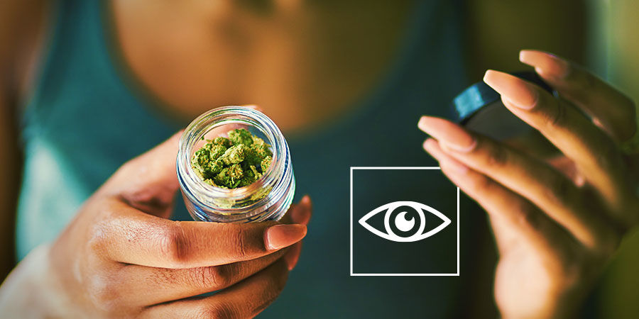 Inspektera din cannabis visuellt Hur du upptäcker föroreningar i cannabis: inspektera din cannabis visuellt