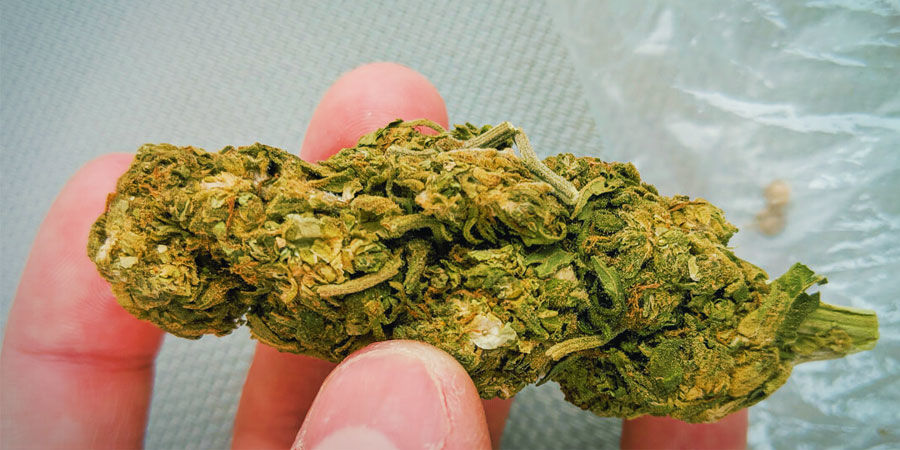 Sand Cannabisföroreningar: sand