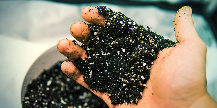 Jord (eller annat odlingsmedium) Soil (Or Other Grow Medium) - Growing Cannabis