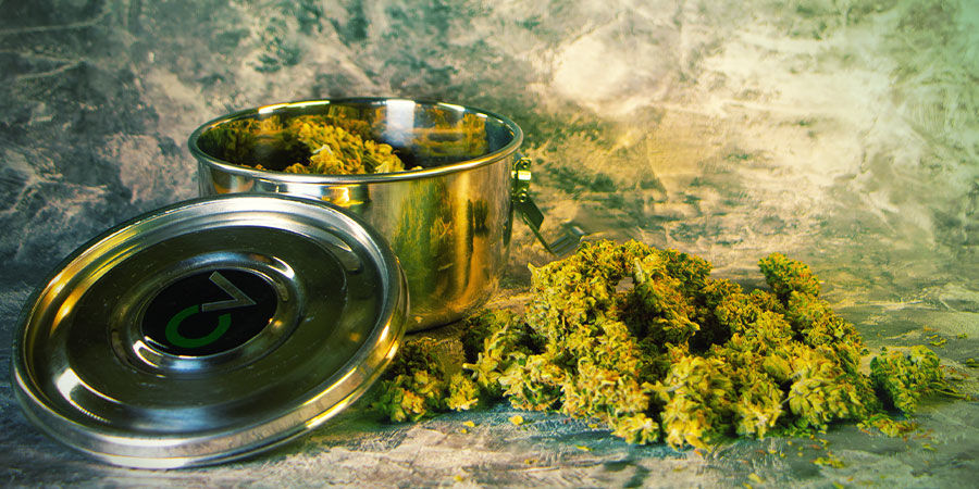Vad behöver du efter cannabisskörden?