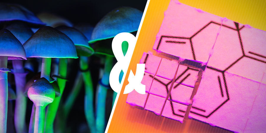 Kan du kombinera magiska svampar och LSD? Kan du kombinera magiska svampar och LSD?