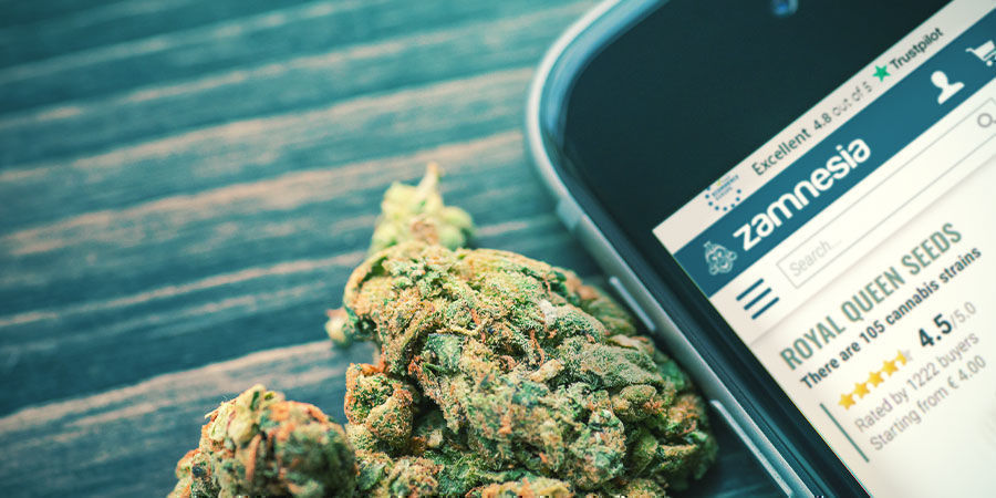 Testa nya RQS-cannabissorter hos Zamnesia! Testa nya RQS-cannabissorter hos Zamnesia!