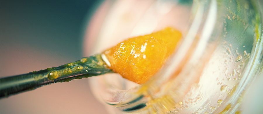 r/cannabisextracts: En samlingsplats för allt som rör extrakt R/cannabisextracts: A Hub For All Things Extracts