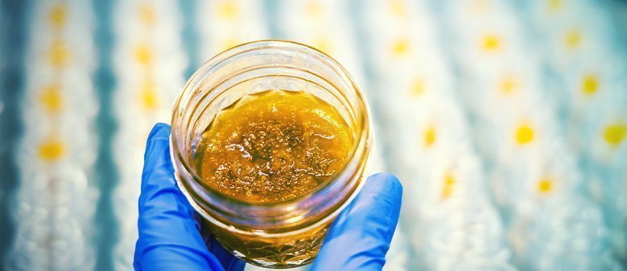 r/dabs: Diskussion om dabs och cannabisextrakt r/dabs: Discussion of Dabs and Cannabis Extracts