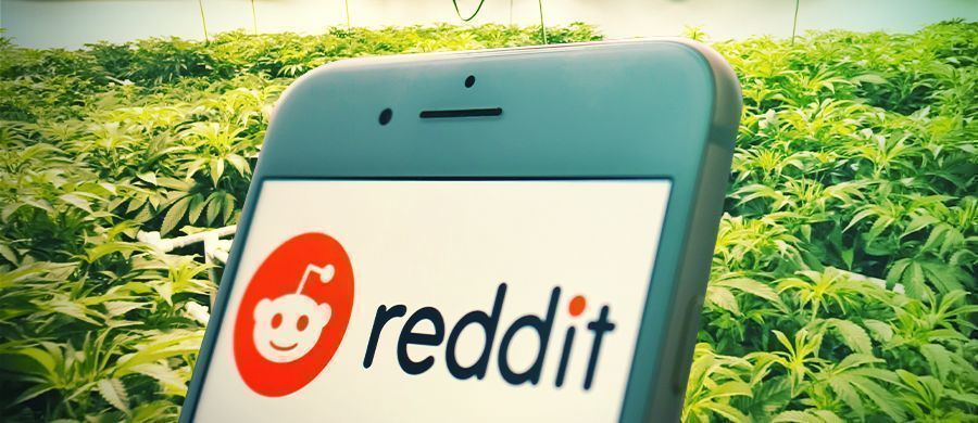 Varför och hur cannabisanvändare kan använda Reddit som en källa för information om cannabis Varför och hur cannabisanvändare kan använda Reddit som en källa för information om cannabis